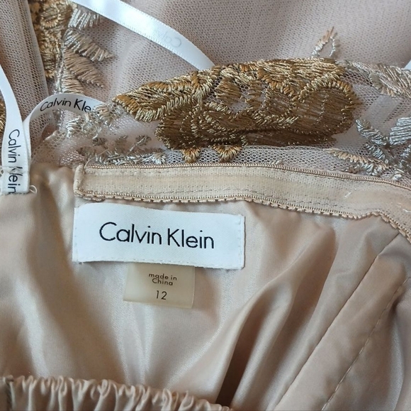 Calvin Klein Embroidered Nude/Blush Midi Off the Shoulder Strapless Sumner Dress - Picture 11 of 12